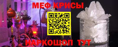 стафф Гатчина