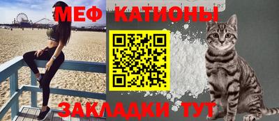 стафф Гатчина