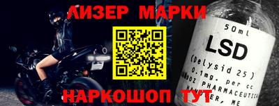 стафф Гатчина