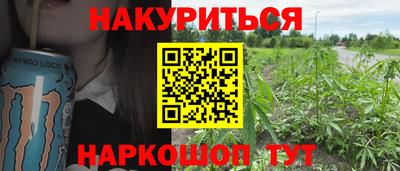 стафф Гатчина