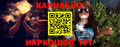 стафф Гатчина
