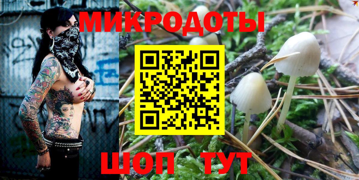 Псилоцибиновые грибы MAGIC MUSHROOMS  Вход с VPN  Дальнегорск  Галлюциногенные грибы Magic Shrooms 
