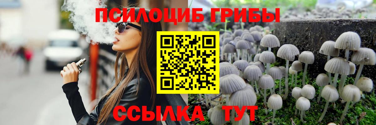 Псилоцибиновые грибы мухоморы Дальнегорск